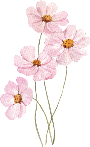 Watercolor Flowers Illustration